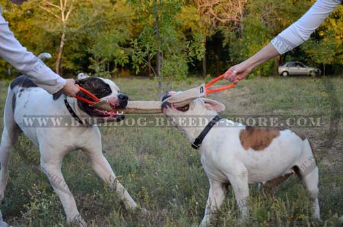 Training Jute American Bulldog Bite Tug with Stitched Handles