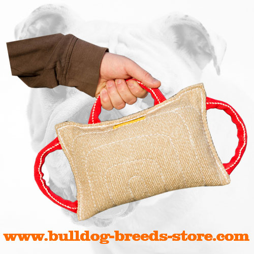 Jute Bulldog Bite Pillow with Handles