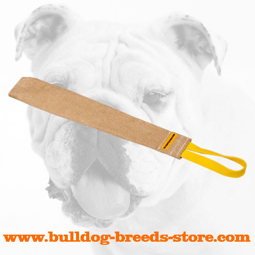 Jute Bulldog Bite Rag for Puppy Training