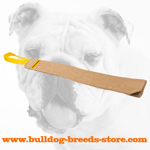 TTraining Jute Bulldog Bite Ragg