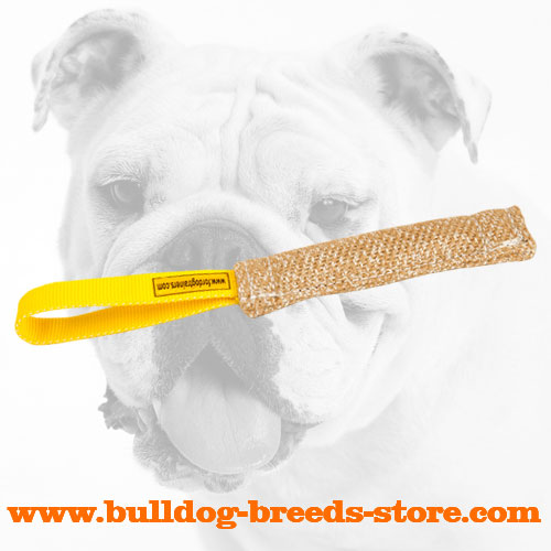 Training Jute Bulldog Bite Tag