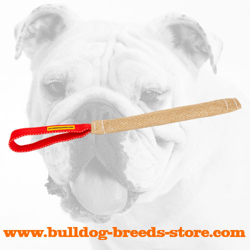 Pocket Jute Bulldog Bite Tug with Handle