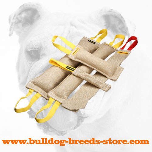 High Quality Jute Bulldog Bite Tug Set 