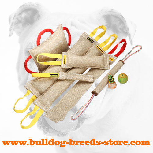 Quality Jute Bulldog Bite Tug Set for Professionals