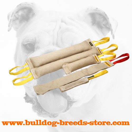 Safe and Hand-Stitched Jute Bulldog Bite Tug Set