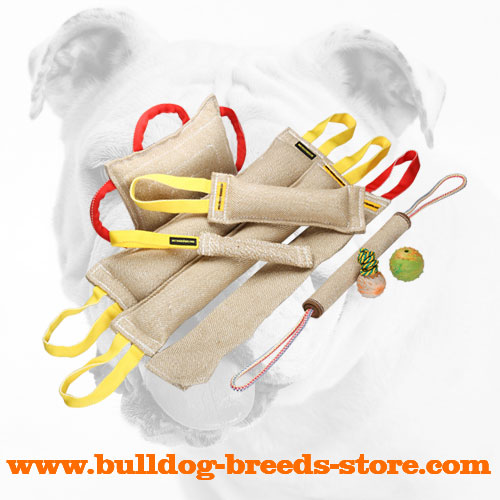 Soft Jute Bulldog Bite Tug Set