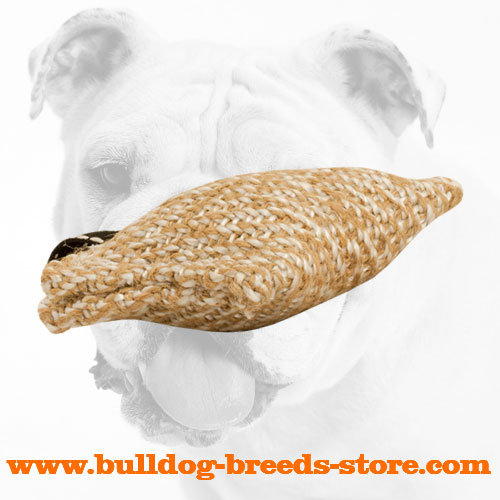 Training Jute Bulldog Bite Tug