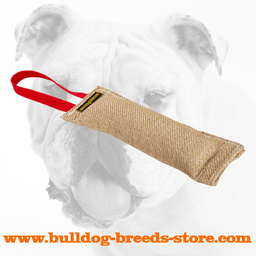 Jute Bulldog Bite Tug with Handle for Retrieve Work