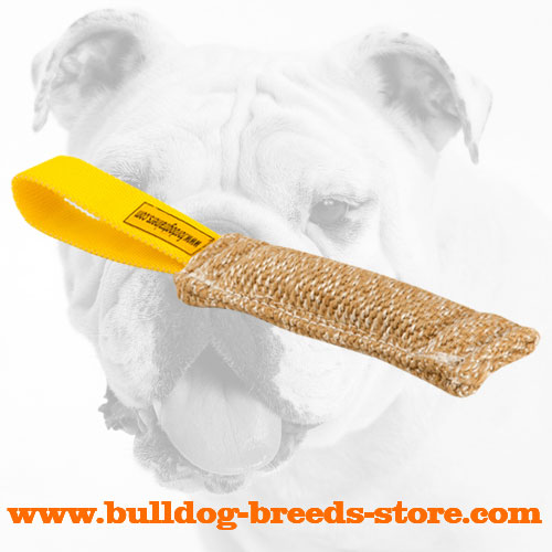 Jute Bulldog Bite Tug with Loop for Puppy Training