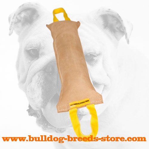 Durable Leather Bulldog Bite Tug with Two Comfy Handles