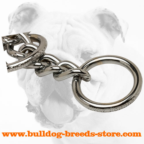 Wide O-ring of Training Bulldog Choke Collar
