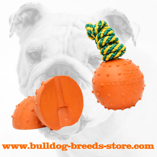 Colorful Bulldog Rubber Water Ball