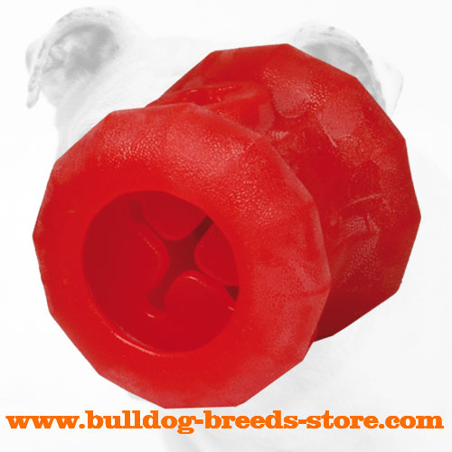 High Quality Bulldog Treat Holder