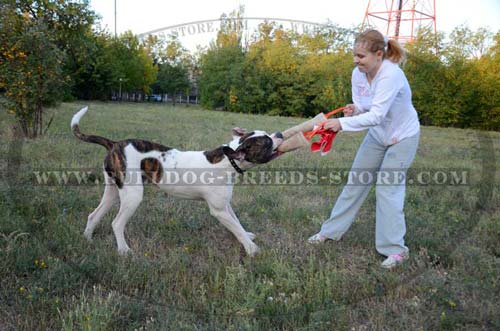 Soft Hand-Stitched Jute Dog Bite Tug for American Bulldogs