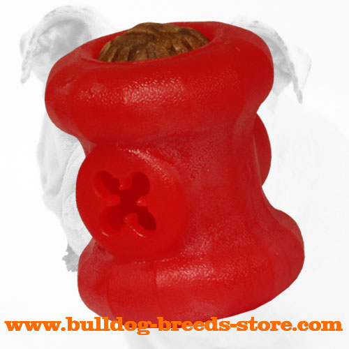 Special Rubber Bulldog Treat Holder