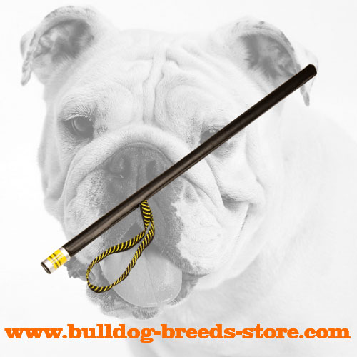 Bulldog Stick for Agitation Training