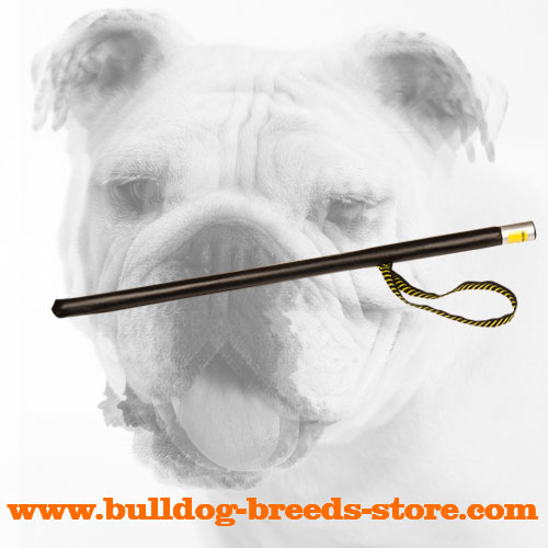 Bulldog Agitation Training Stick with a Loop