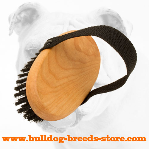 Bristle Brush for Bulldogs