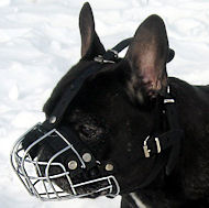 French Bulldog Wire Cage Muzzle with Soft Padded Nose Area  French Bulldog Wire Cage Muzzle with Soft Padded Nose Area