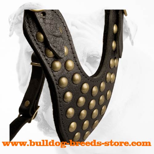 Padded Training Leather Bulldog Harness