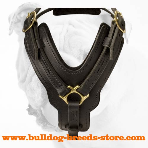 Leather Dog Harness for Bulldog Everyday Walking