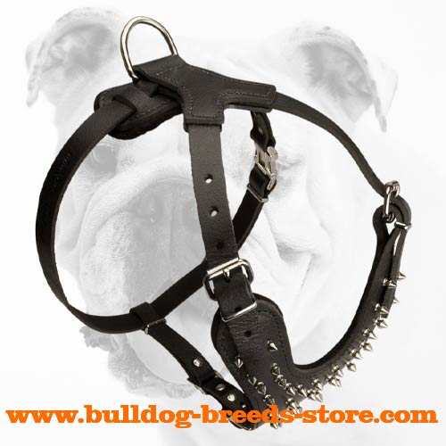 Stylish Spiked Leather Bulldog Harness for Effecient Training