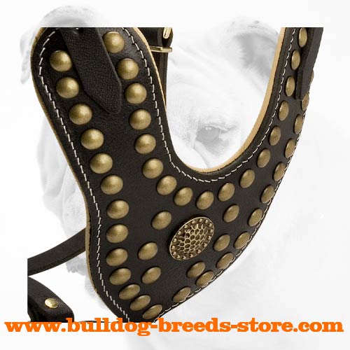 Padded Studded Leather Bulldog Harness