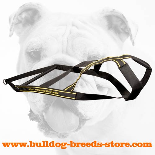 Easy to Fit Pulling Nylon Bulldog Harness