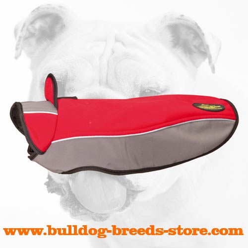 Durable Walking Winter Nylon Bulldog Jacket