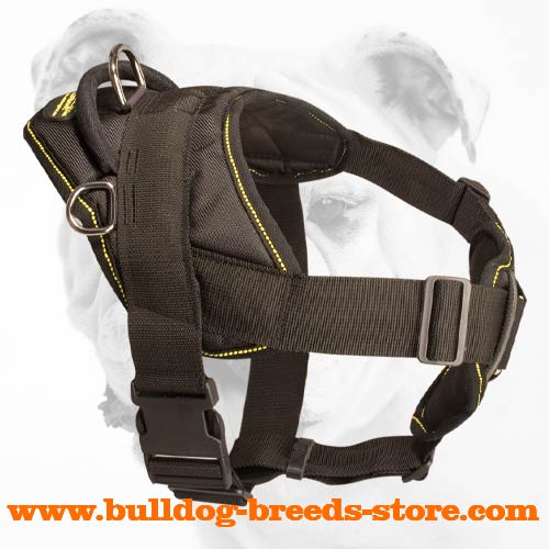 Adjustable Nylon Bulldog Harness for Pulling