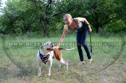 Beautifully Painted Training Leather Dog Harness for Bulldog