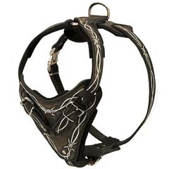 Training Painted Leather Bulldog Harness