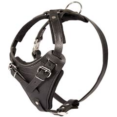 Adjustable Leather American Bulldog Harness