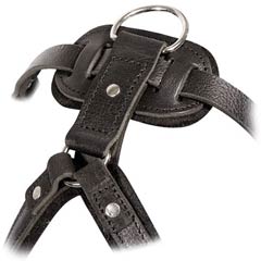 Back Plate of Hand-Made Leather Bulldog Harness for Training