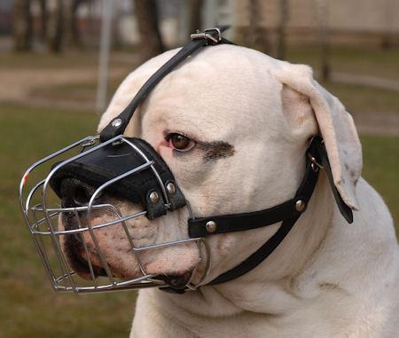 Alapaha Blood Bulldog Wire Cage Muzzle