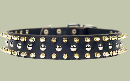 Black Leather Spiked Studded Dog Collar for Bulldog
