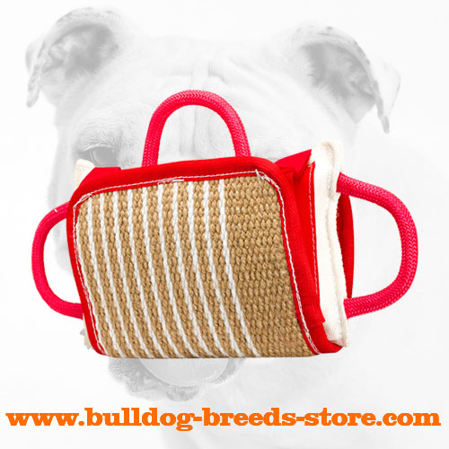 Bulldog Bite Pillow with Jute Cover