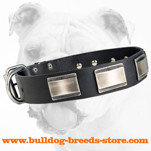 Reliable Walking Leather Bulldog Collar with Large Plates
