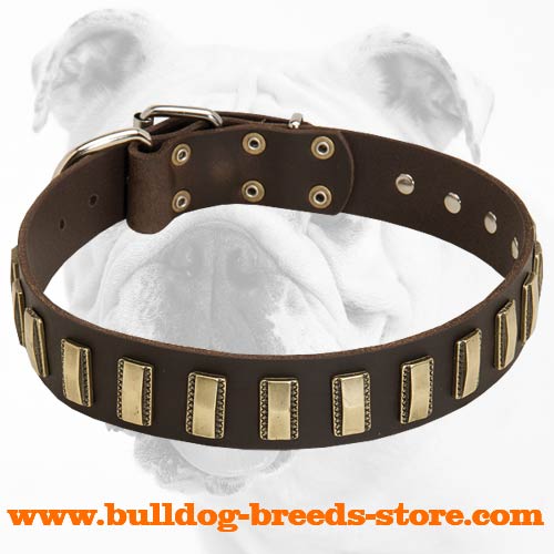 Super Fashionable Leather Bulldog Collar with Unique Brass Plates