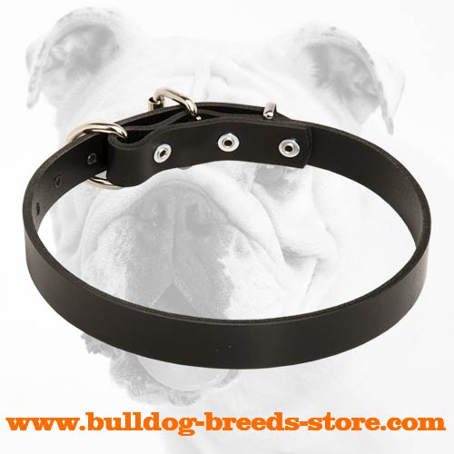 Comfortable Leather Bulldog Collar for Walking
