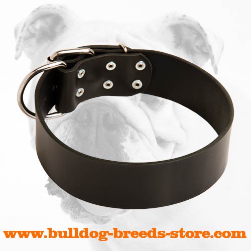 Wide Reliable Leather Bulldog Collar