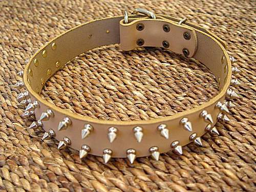 Bullterrier Leather Spiked Dog Collar - 2 Rows of spikes
