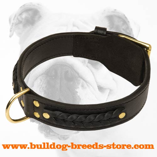 Wide Braided Leather Bulldog Collar