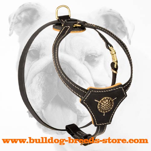 Luxury Hand-Made Leather Harness for Bulldog Puppies