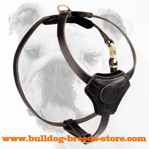 Fantastic Tracking Leather Bulldog Puppy Harness - Click Image to Close