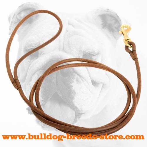 Professionally Handcrafted Leather Bulldog Leash