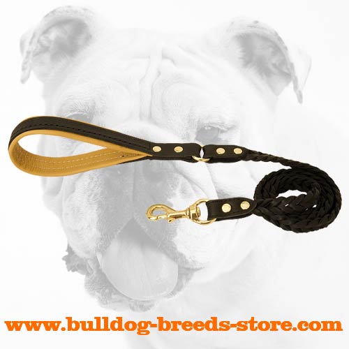 Gorgeous Beautifully Decorated Walking Leather Bulldog Leash