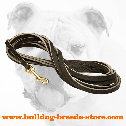 Best Quality Leather Bulldog Leash for Tracking