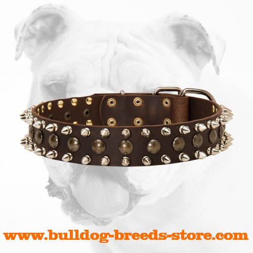 3 Rows Spiked and Studded Leather Bulldog Collar
