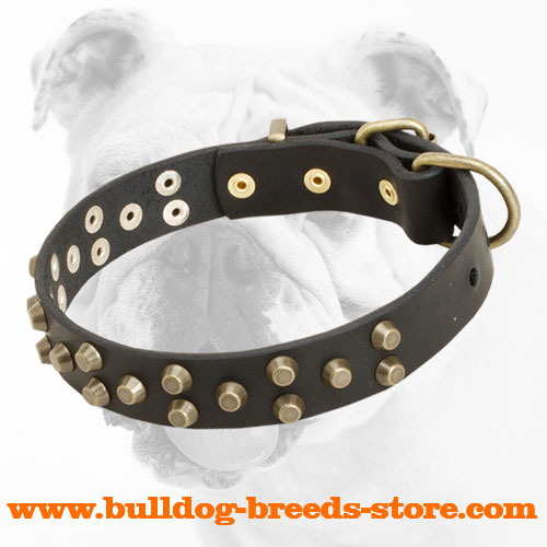 Comfortable Designer Leather Bulldog Collar with Brass Pyramids